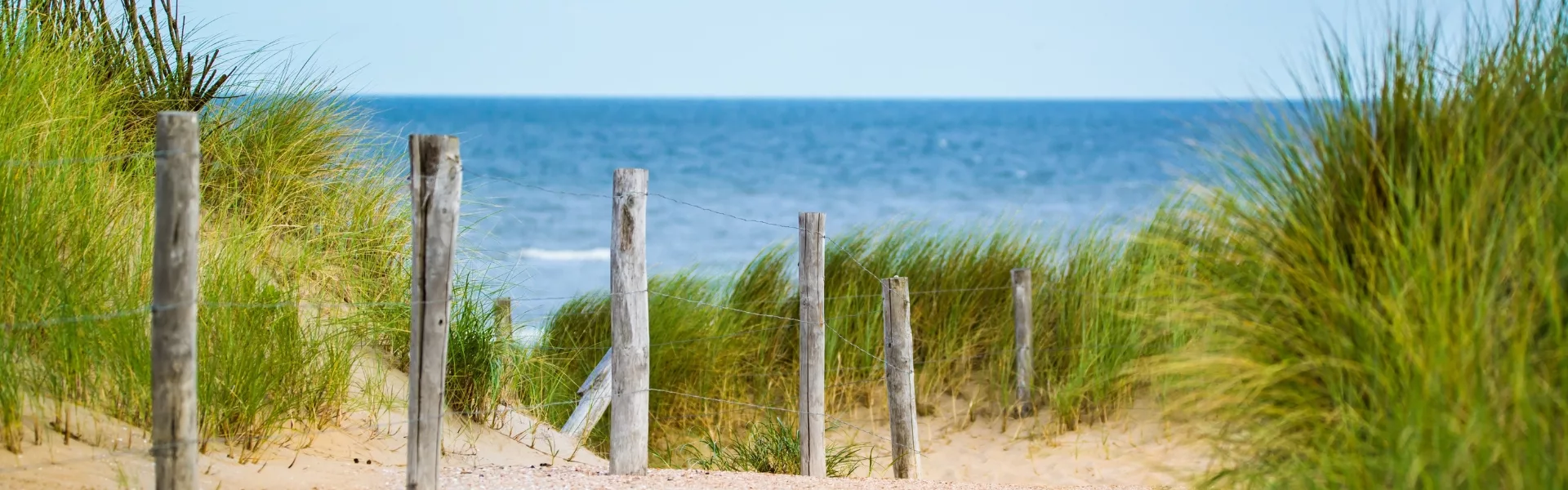 Influences dunes océan header