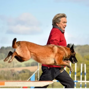 CI agility