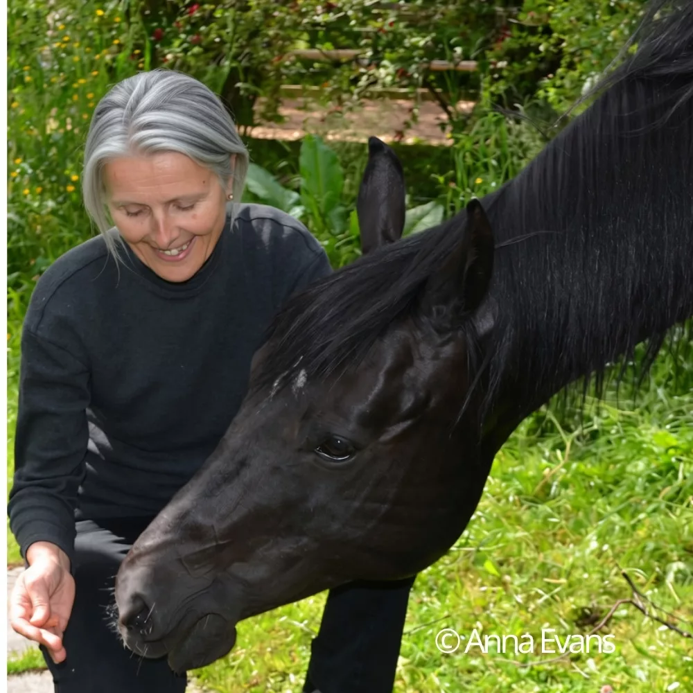 CI imagination cheval Shania carré
