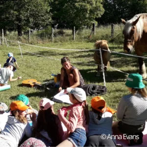 CI pratique accompagnée chevaux carré