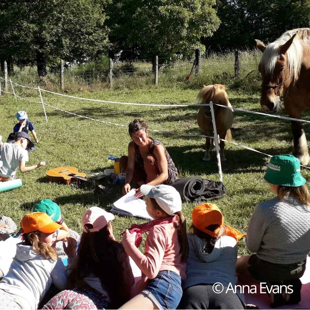 CI pratique accompagnée chevaux carré