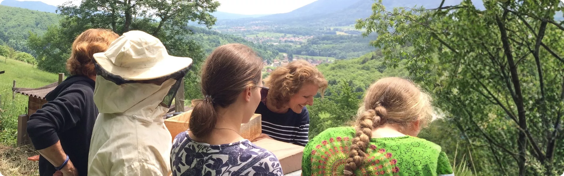 Anna Evans et petit groupe autour de ruches dans une formation