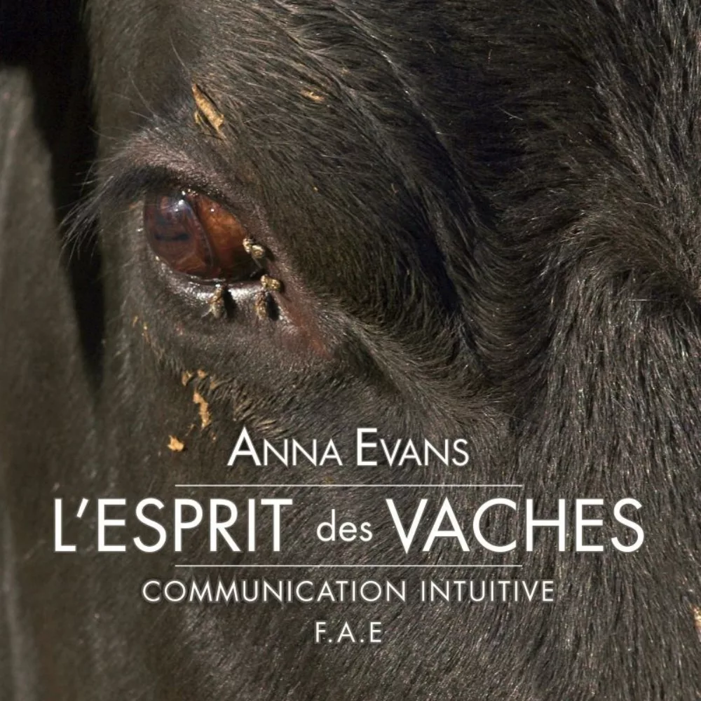 Boutique Livre L'esprit des vaches