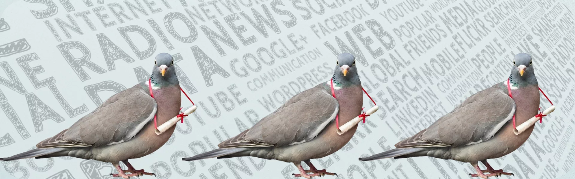 Presse pigeons voyageurs header