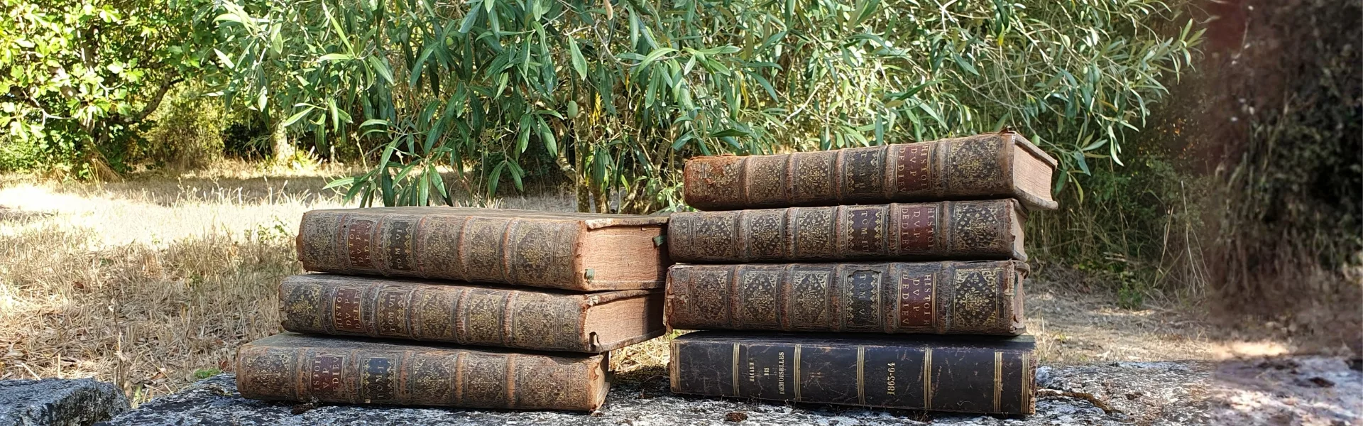Ressources livres anciens header